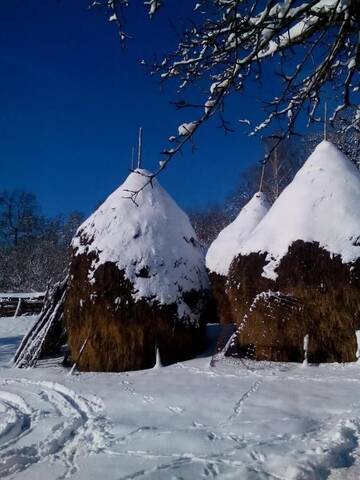 Фото номера Улучшенный номер с кроватью размера «king-size» Загородные дома Rustic Retreat Sejour Casa Mountain Sanctuary,Roşia Montana г. Roşia Montană 20