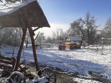 Фотографии Загородные дома Rustic Retreat Sejour Casa Mountain Sanctuary,Roşia Montana г. Roşia Montană (Румыния) №1 Фото Загородные дома Rustic Retreat Sejour Casa Mountain Sanctuary,Roşia Montana г. Roşia Montană 1