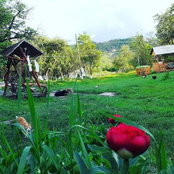 Фото номера Улучшенный номер с кроватью размера «king-size» Загородные дома Rustic Retreat Sejour Casa Mountain Sanctuary,Roşia Montana г. Roşia Montană 5