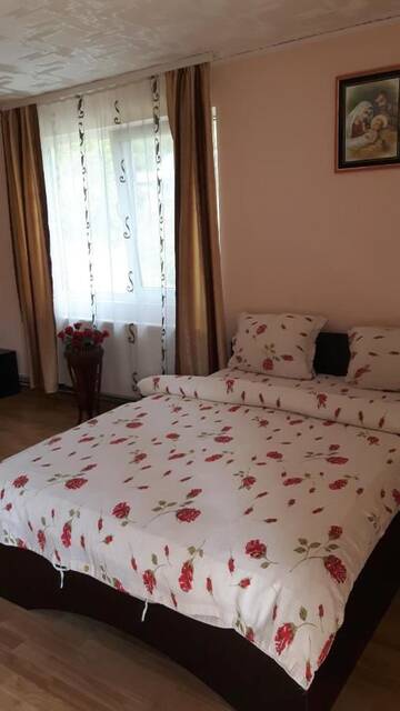 Фото номера Двухместный номер с 1 кроватью и террасой Гостевой дом Casa Manu г. Roşia Montană 3
