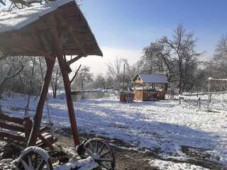 Фото Загородные дома Rustic Retreat Sejour Casa Mountain Sanctuary,Roşia Montana г. Roşia Montană