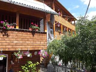 Фото Гостевой дом Casa Manu г. Roşia Montană